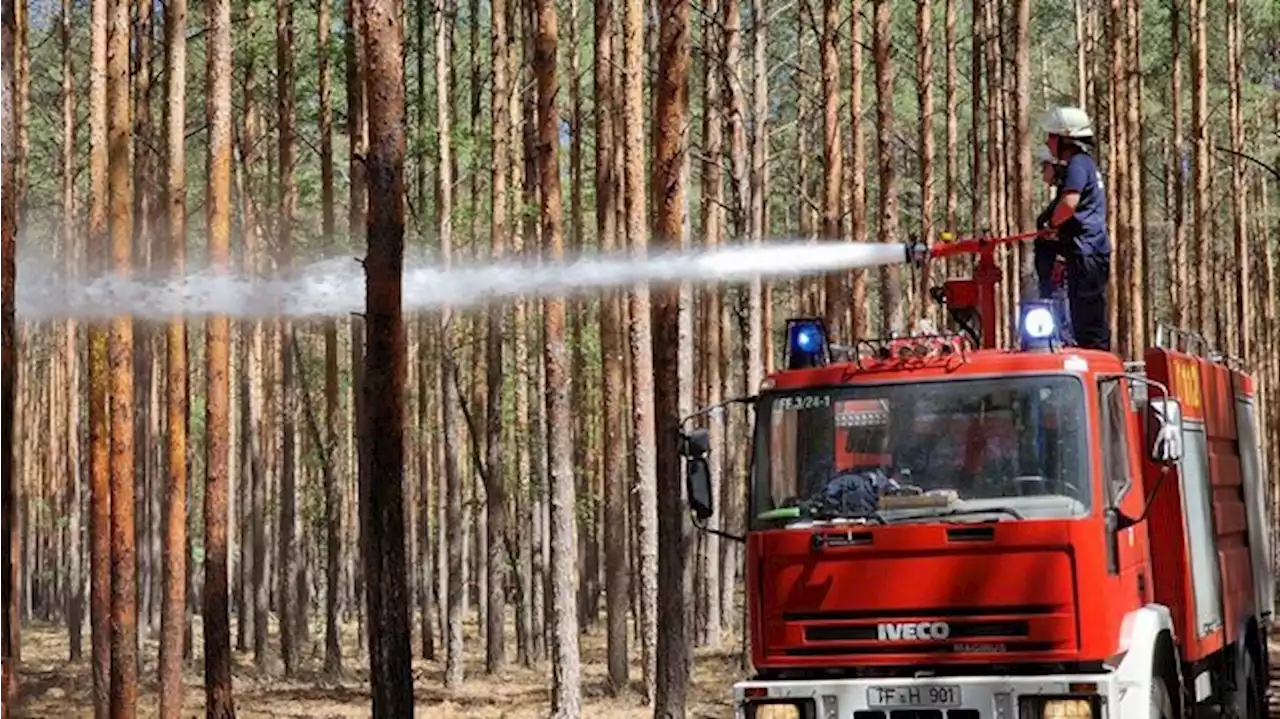 Schon deutlich mehr Waldbrände als im Hitzejahr 2018