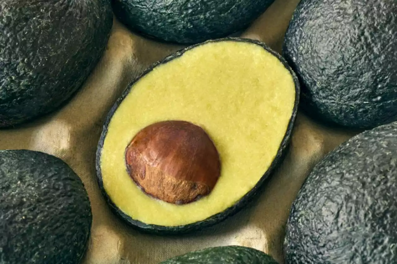 First fake meat, now fake avocados - introducing the Ecovado | The Citizen