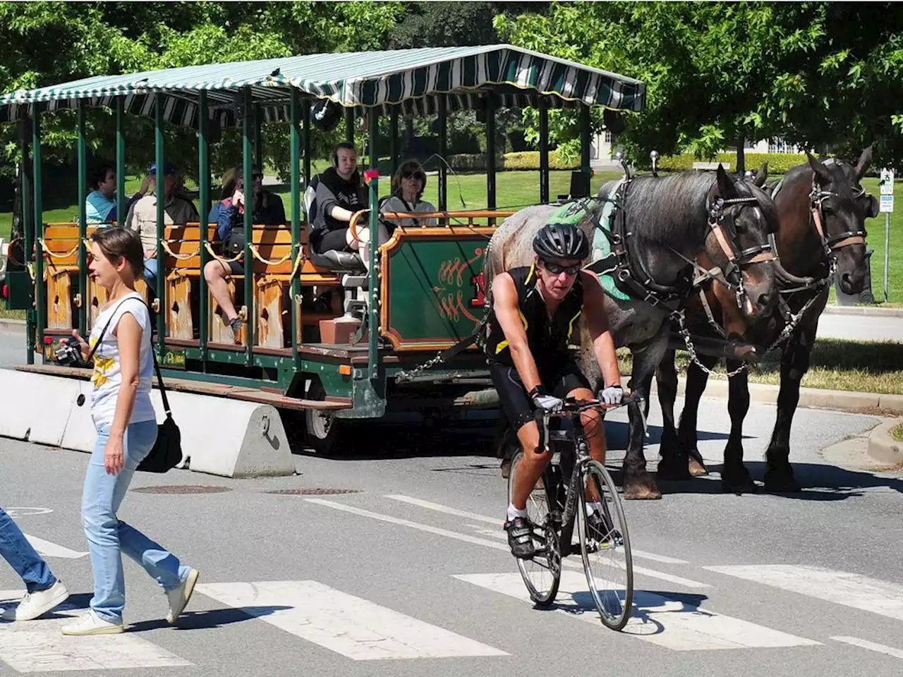 Animal-loving singer draws B.C. park's draft horses back into the limelight