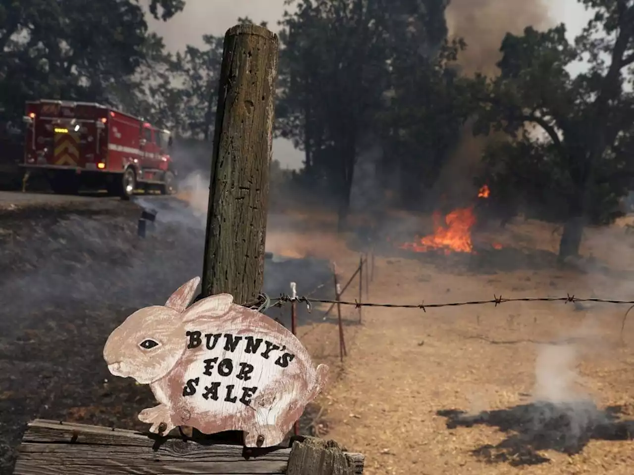 Thousands ordered to flee California wildfire near Yosemite