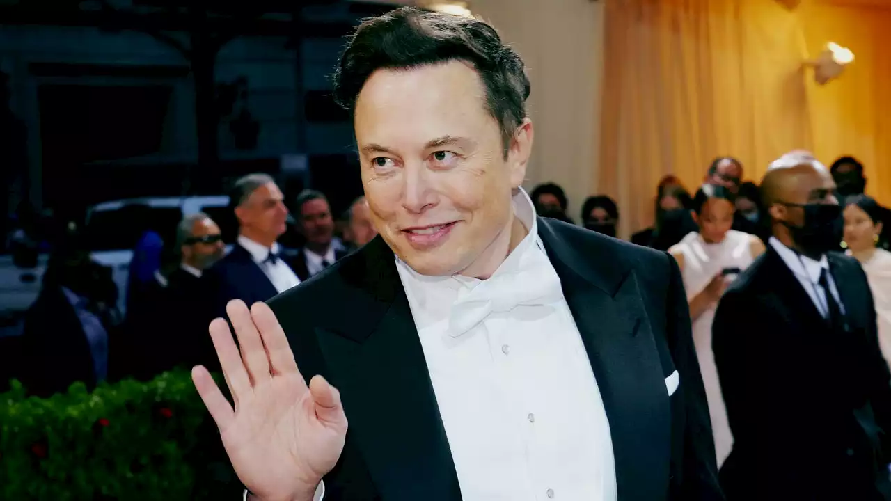 Sorry to Make You Think About Elon Musk’s Sex Life