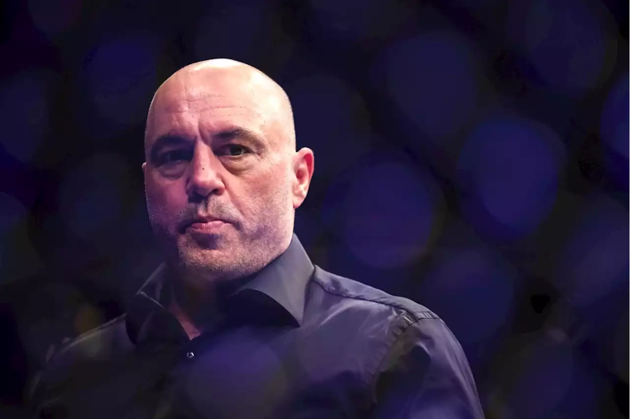 Joe Rogan Fights Critics Who Claim He’s a Republican, Defends Gay Marriage: ‘I’m a Bleeding Heart Liberal’