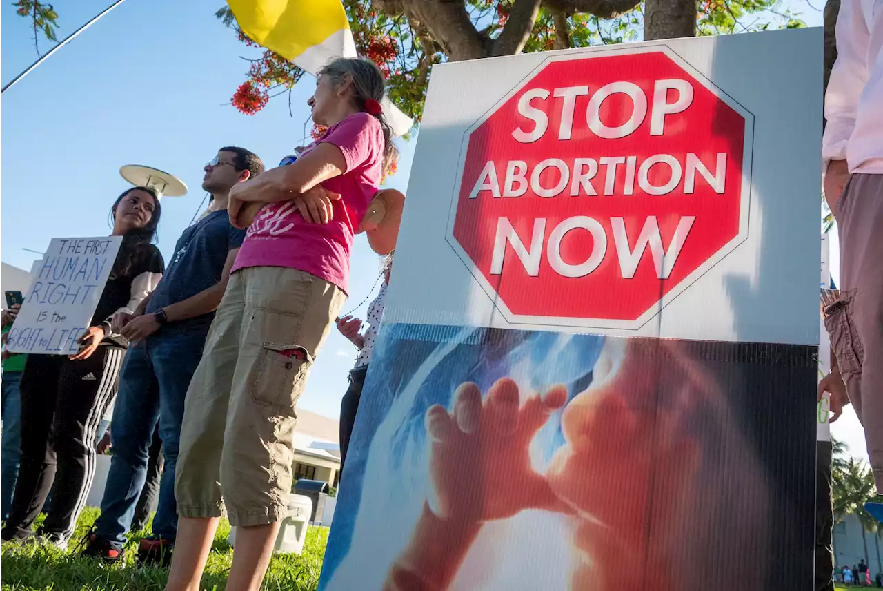 Analysis | Antiabortion groups differ on the details over where to take their fight next