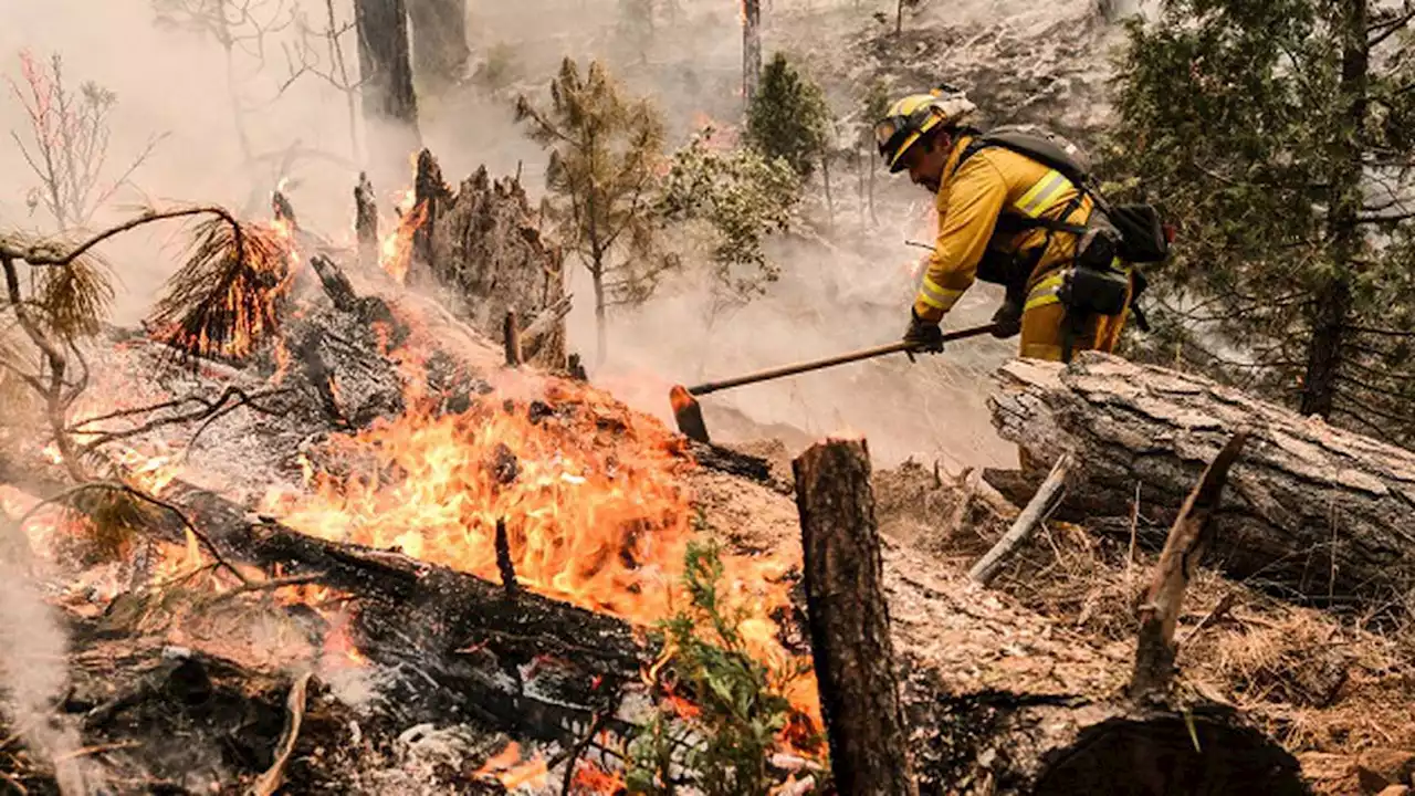 Fast-moving Oak Fire near Yosemite National Park burns more than 14,000 acres