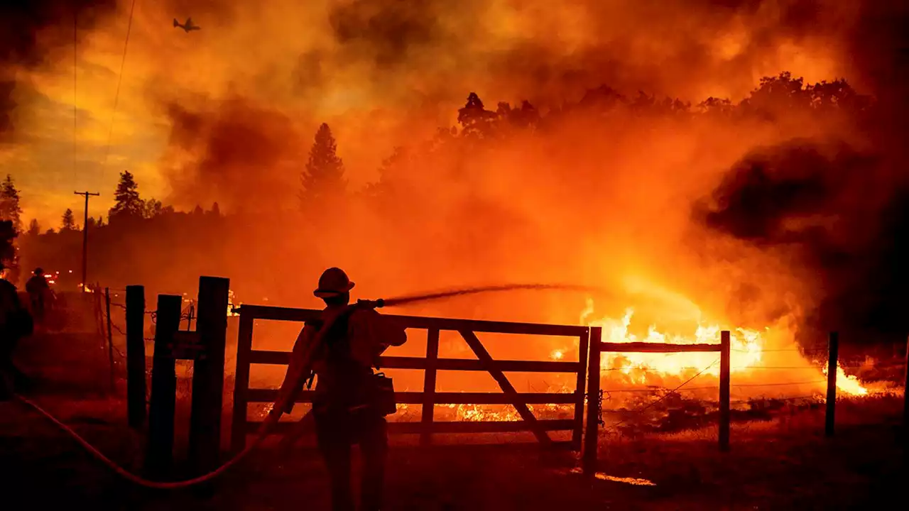 Wildfire near Yosemite National Park grows