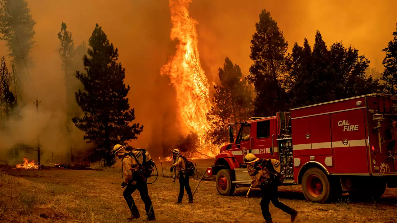 Oak Fire destroys at least 55 structures as it burns 18,087 acres near Yosemite National Park