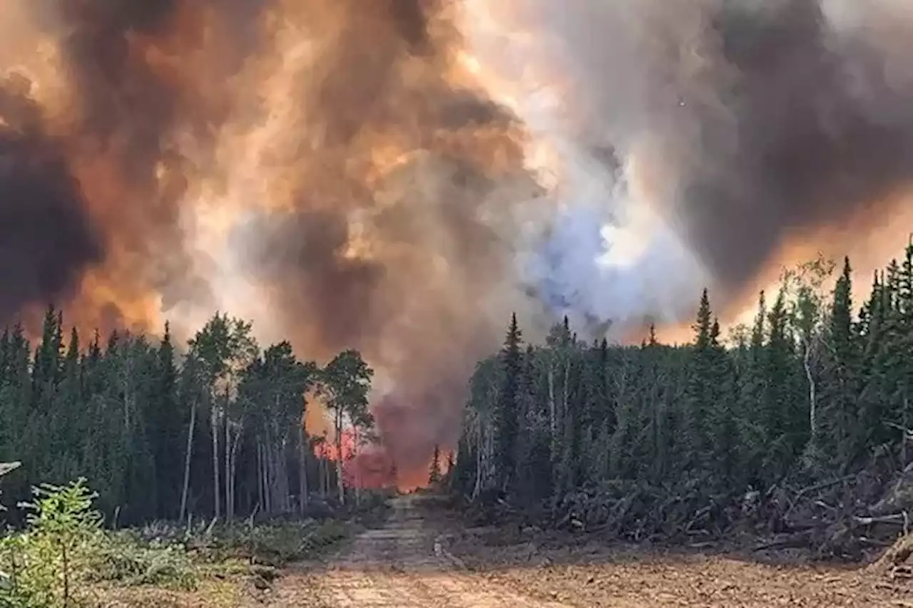 Denali Borough issues disaster declaration for Clear Fire damage - Alaska Public Media