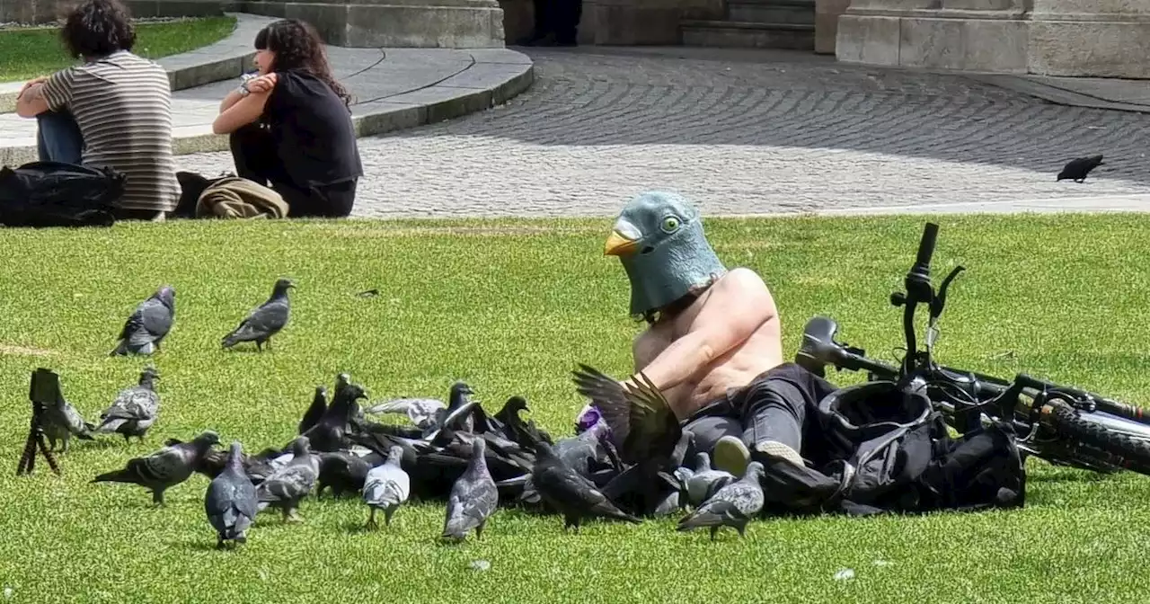 Belfast's 'Lord of the Pigeons' turns heads feeding the birds at City Hall