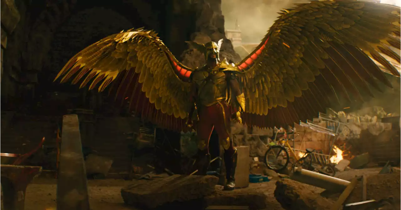 Hawkman Actor Says Character's History Could Lead to Standalone a Film