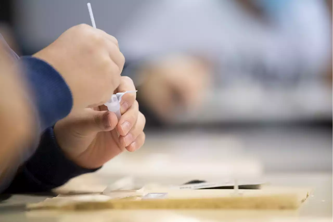 Keine Corona-Testpflicht an Bayerns Schulen im Herbst