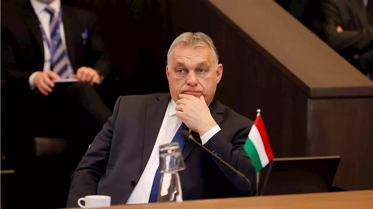 Orbán macht widerlichen Holocaust-Witz über Deutschland