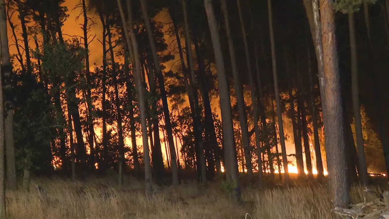 Waldbrand bei Falkenberg durch Sturm auf 800 Hektar ausgeweitet – Orte evakuiert!