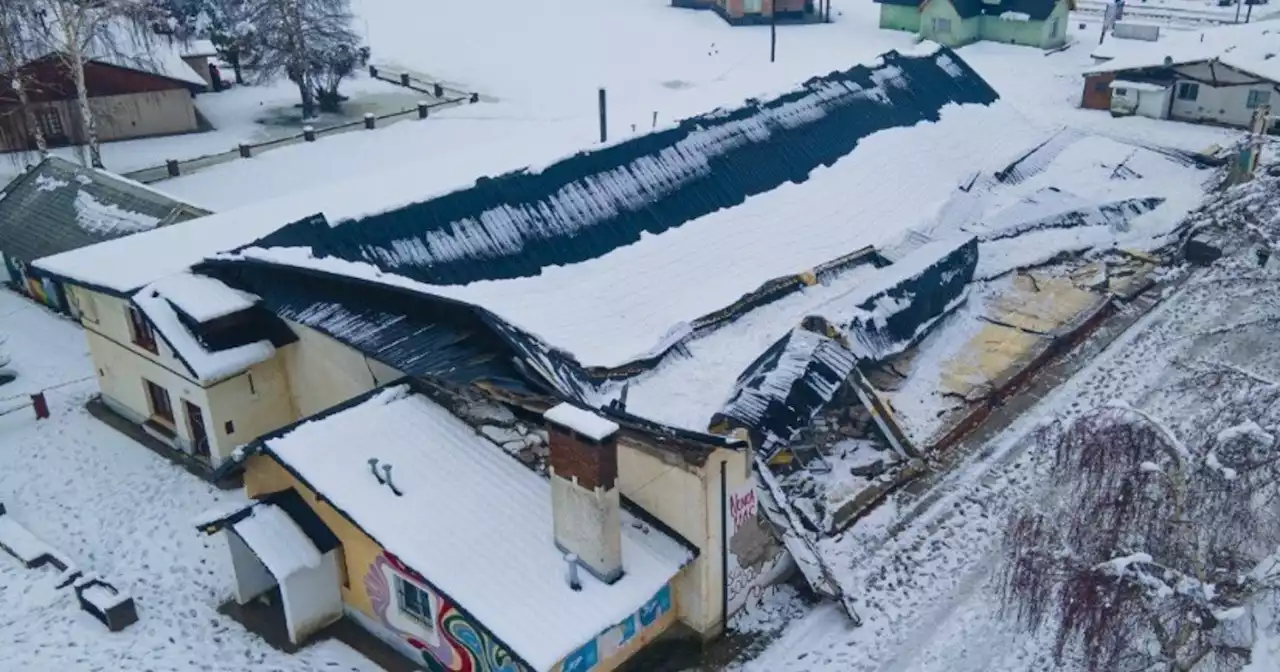 Temporal de nieve en Chubut y animales muertos: 'Esto parece provocar más daño que los incendios'