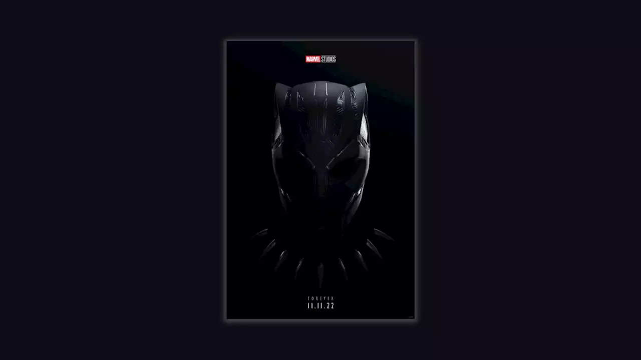 The new Black Panther poster is giving me serious chills