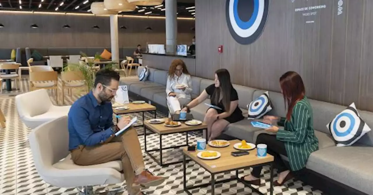 Coworking: llega al pa�s una nueva marca que permite trabajar con wifi gratis en hoteles