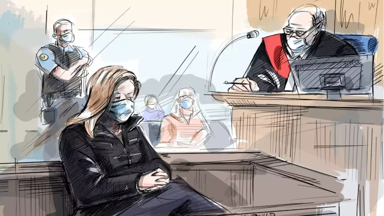 Tamara Lich once again argues for freedom from jail at bail-review hearing