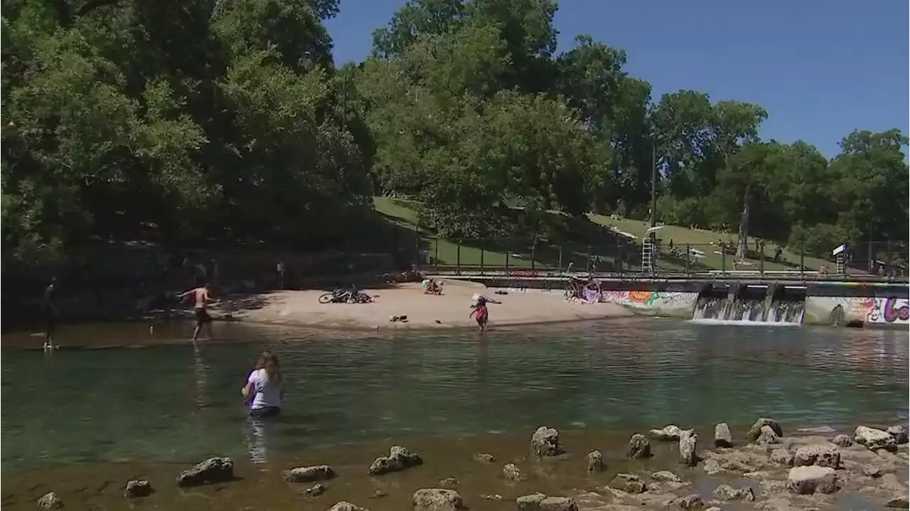 City of Austin confirms neurotoxin found in algae at Barking Springs