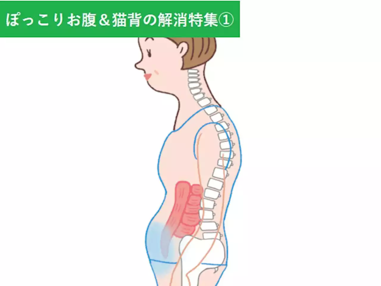 50代以降は要注意！「ぽっこりお腹＆猫背」の有効な対策を解説 - トピックス｜Infoseekニュース