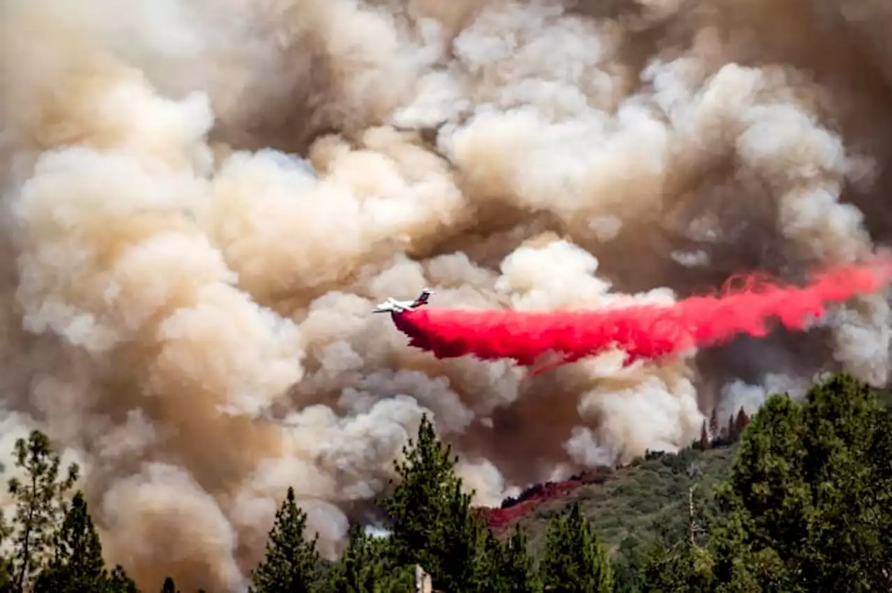 Firefighters slow growth of California blaze near Yosemite