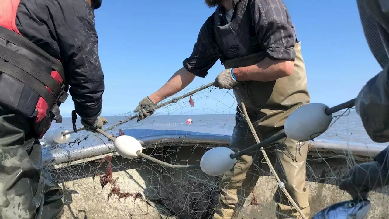 Cook Inlet fishermen sue over set-net closures