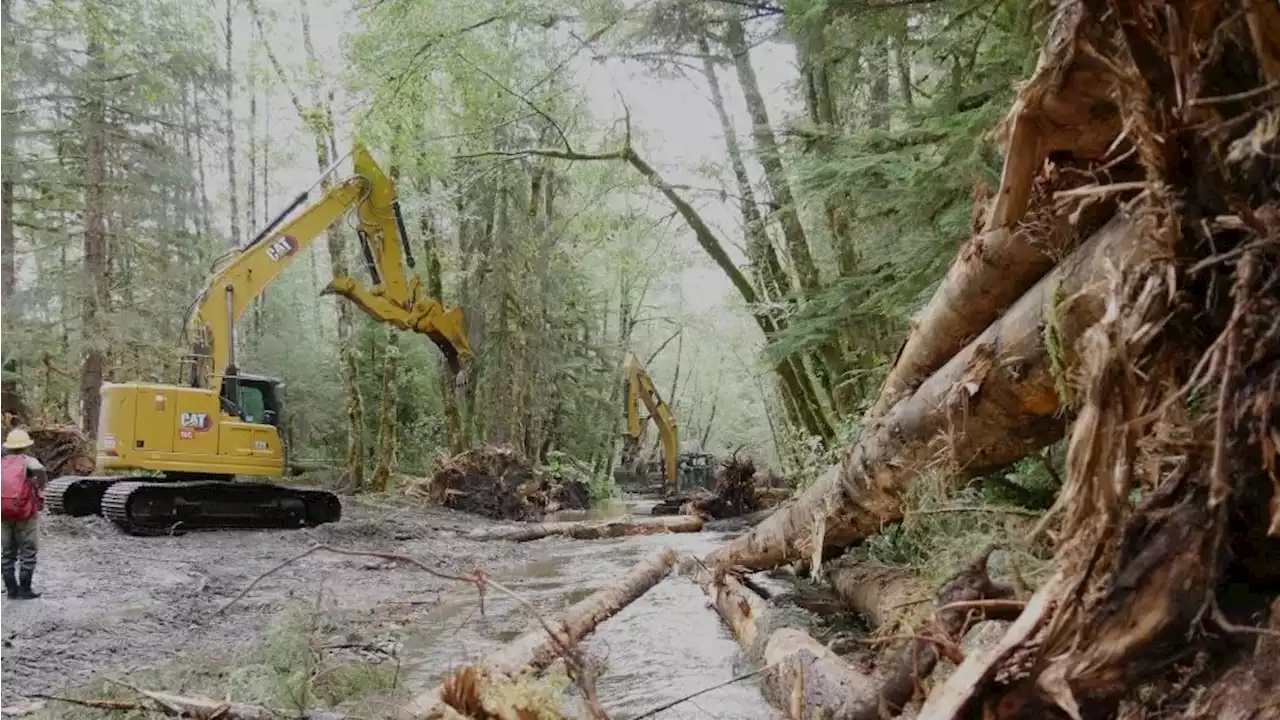 Stream restoration near Petersburg aims to improve fish habitat