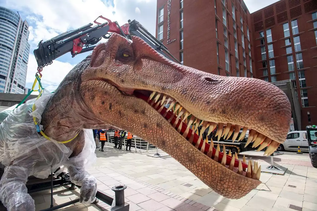 Dinosaurs in Leeds: Terrifying 14-foot long Spinosaurus takes over Granary Wharf