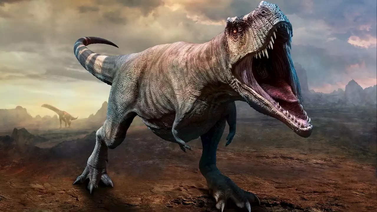 'Bold theory' that Tyrannosaurus rex is 3 species gets stomped to pieces