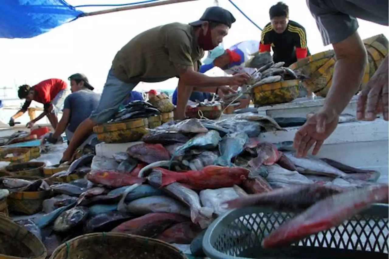 Indonesia - Tiongkok Perbarui Kerja Sama Bidang Kelautan