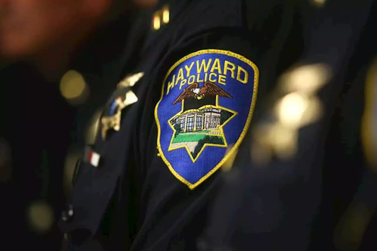 Suspect arrested in fatal Hayward stabbing