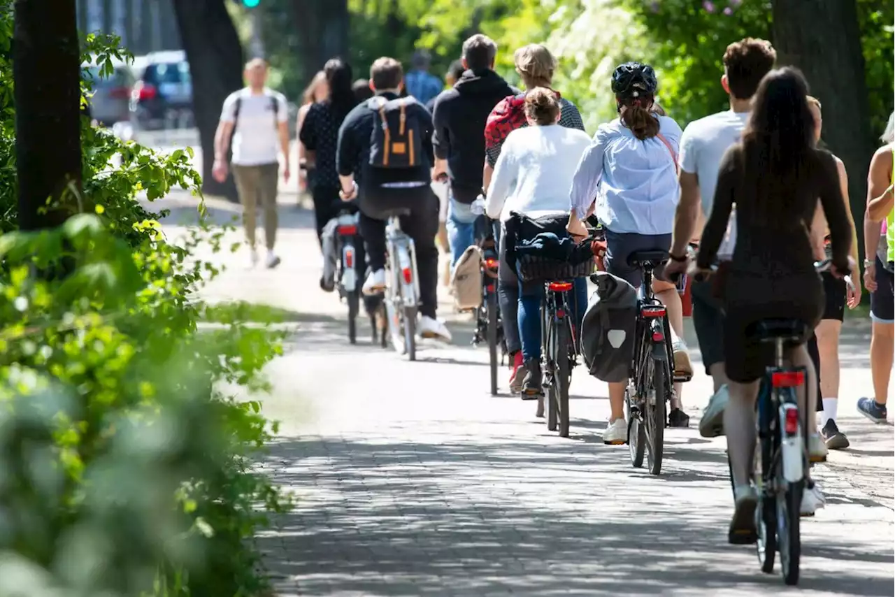 Neue Daten: Hier sind in Hamburg die meisten Radfahrer unterwegs