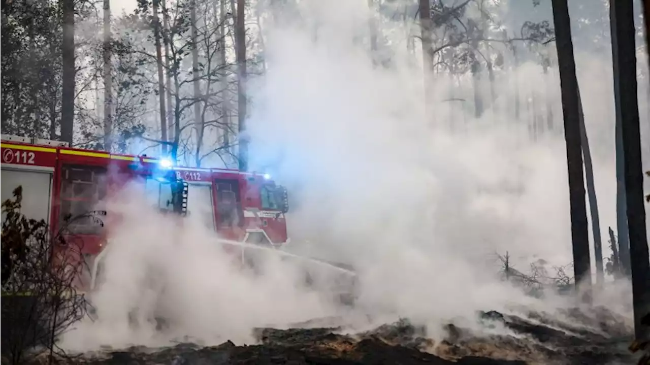 Feuer in Elbe-Elster ausgebreitet: Lage «sehr angespannt»