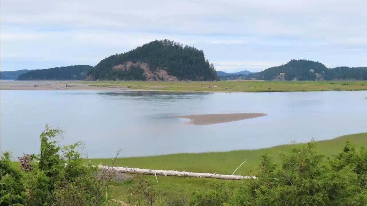 Destination HISTORY: Skagit Bay Estuary and Craft Island