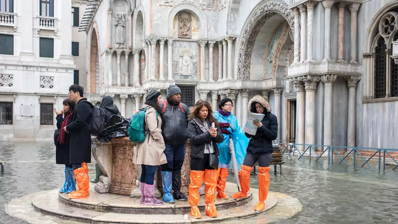 Saving Venice from flooding may destroy the ecosystem that sustains it