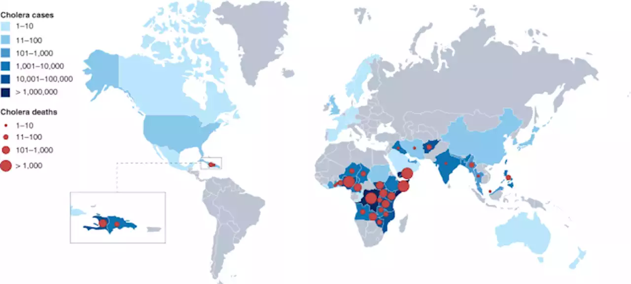 A blueprint for eliminating cholera by 2030 - Nature Medicine