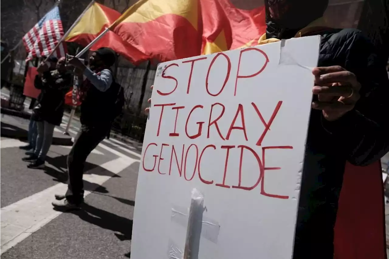 International human rights commission probes war crimes in Ethiopia | News24