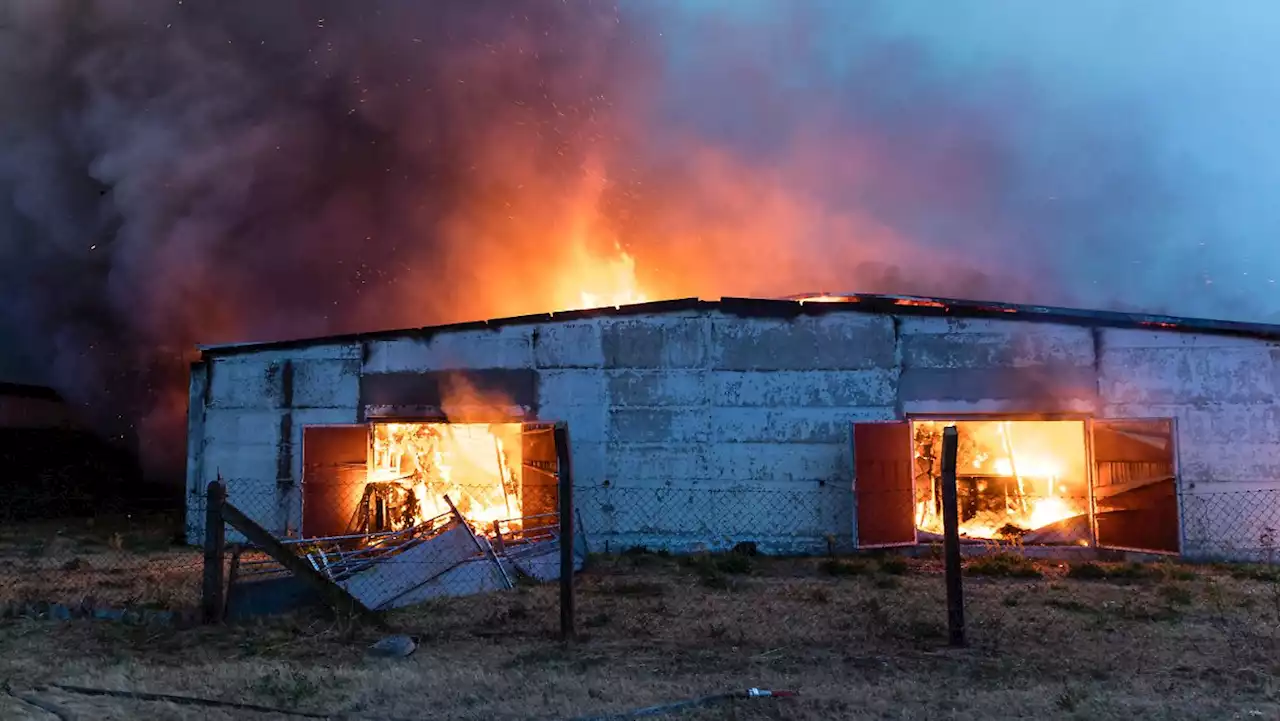 Im Elbe-Elster-Kreis brennen schon 800 Hektar