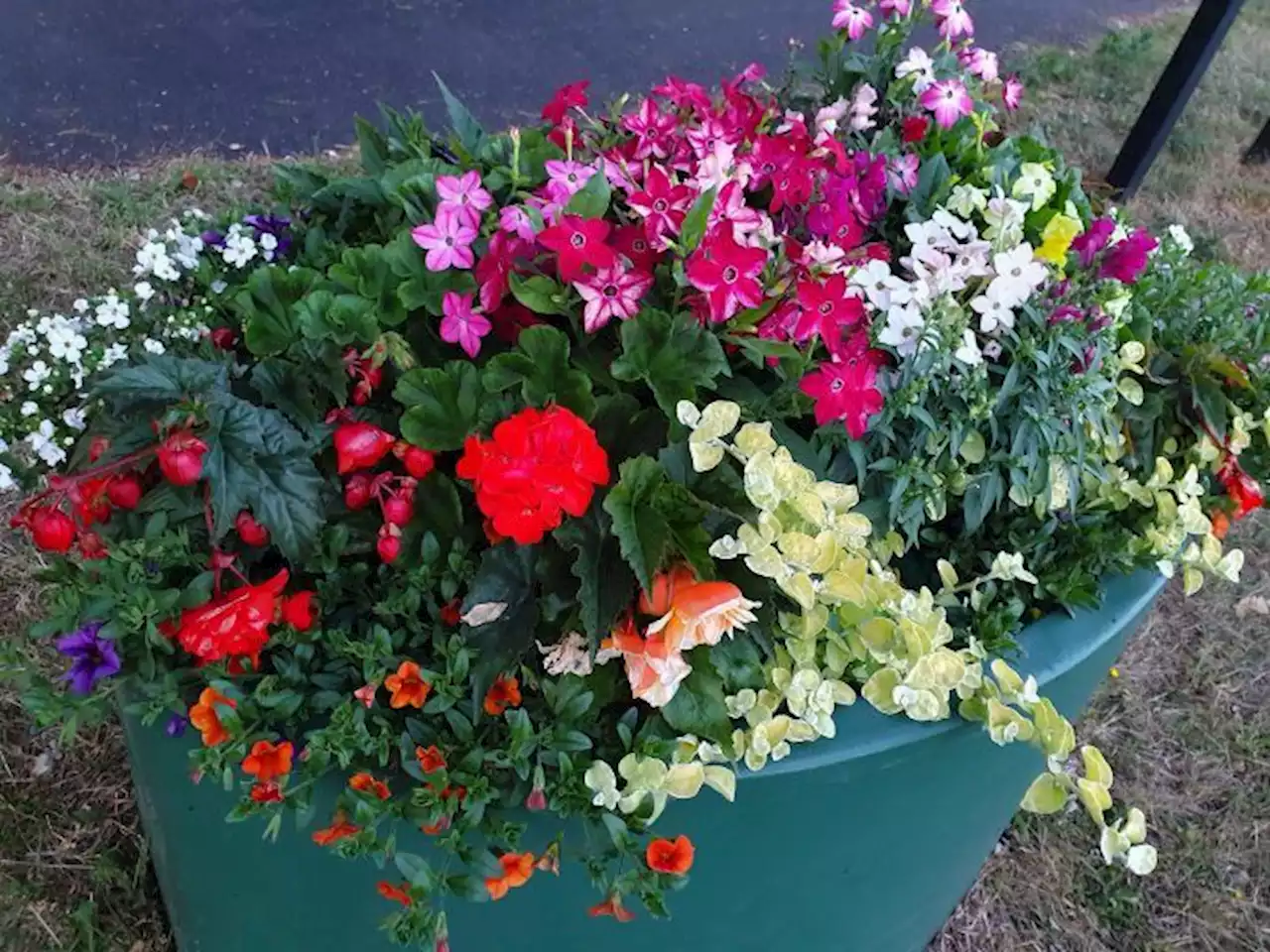 U.K. parish council prunes pot plants from garden display near church