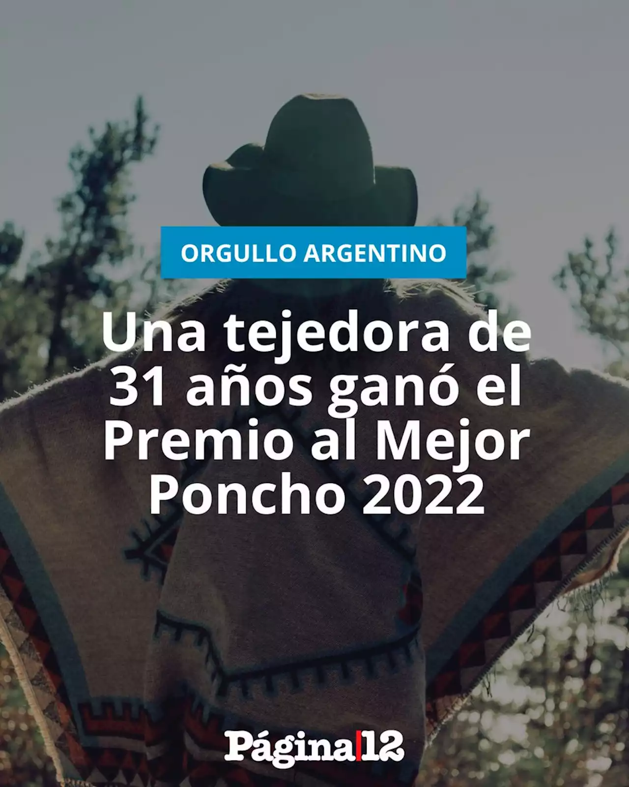 Una tejedora de 31 años ganó el Premio al Mejor Poncho 2022 | La ganadora forma parte de la cooperativa de Laguna Blanca, localidad a 3260 msnm