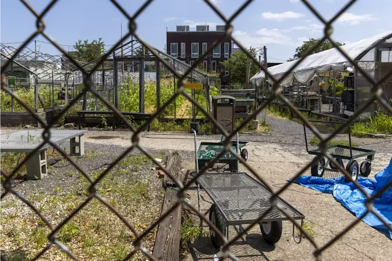 The collapse of Greensgrow, Philly’s nonprofit farm, exposes years of worker allegations