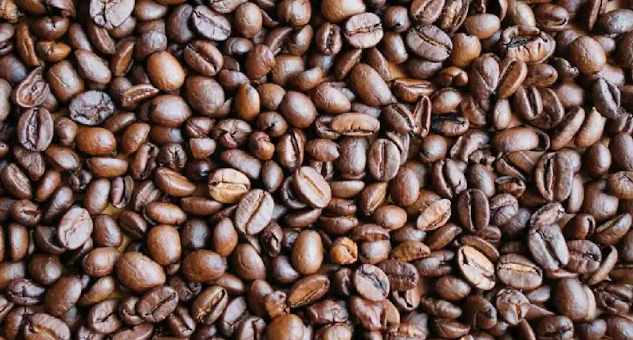 Ingresos por exportaciones de café tostado disminuyeron en Quindío - Pulzo
