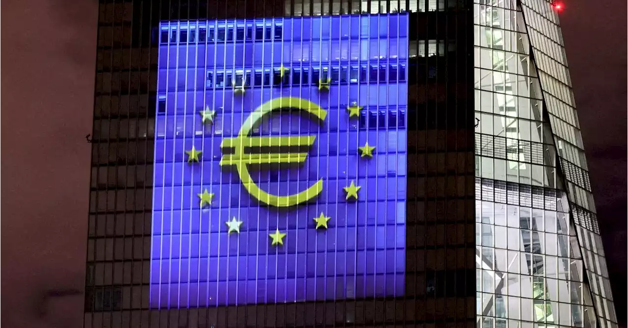 Interlinked climate risks could ripple through euro zone, ECB study says