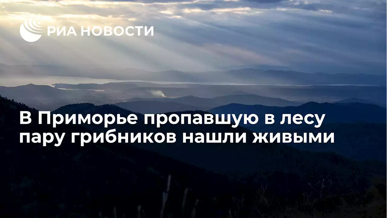 В Приморье пропавшую в лесу пару грибников нашли живыми