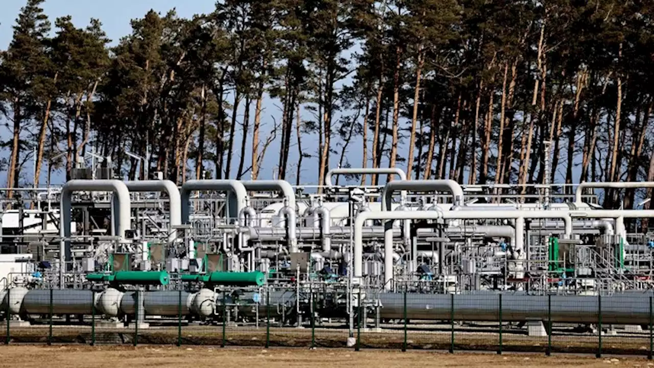 Russian gas cut to Europe hits economic hopes after Ukraine grain deal - SABC News - Breaking news, special reports, world, business, sport coverage of all South African current events. Africa's news leader.