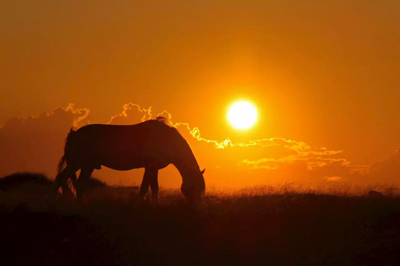 WEATHER PHOTO: Sunset in Bonavista, N.L. | SaltWire