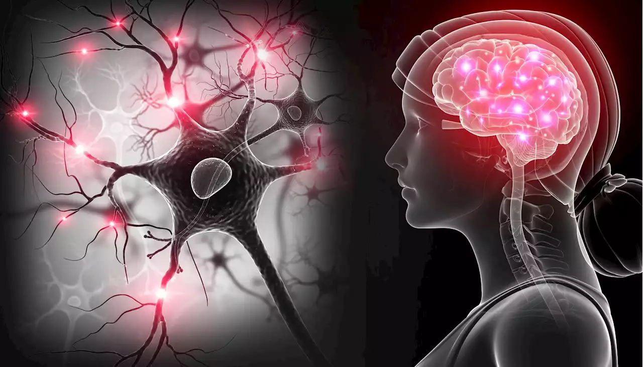 Horrifying: 91% of Known Biological Pathways Linked to Alzheimer’s