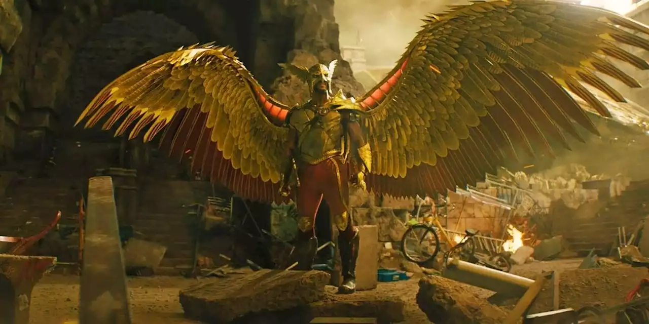 Black Adam Hawkman Actor Teases Character's Potential DCEU Future Plans