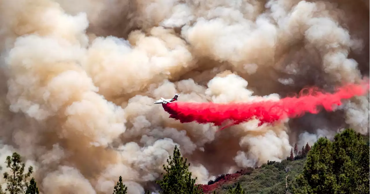 Firefighters slow growth of Oak Fire blaze near Yosemite