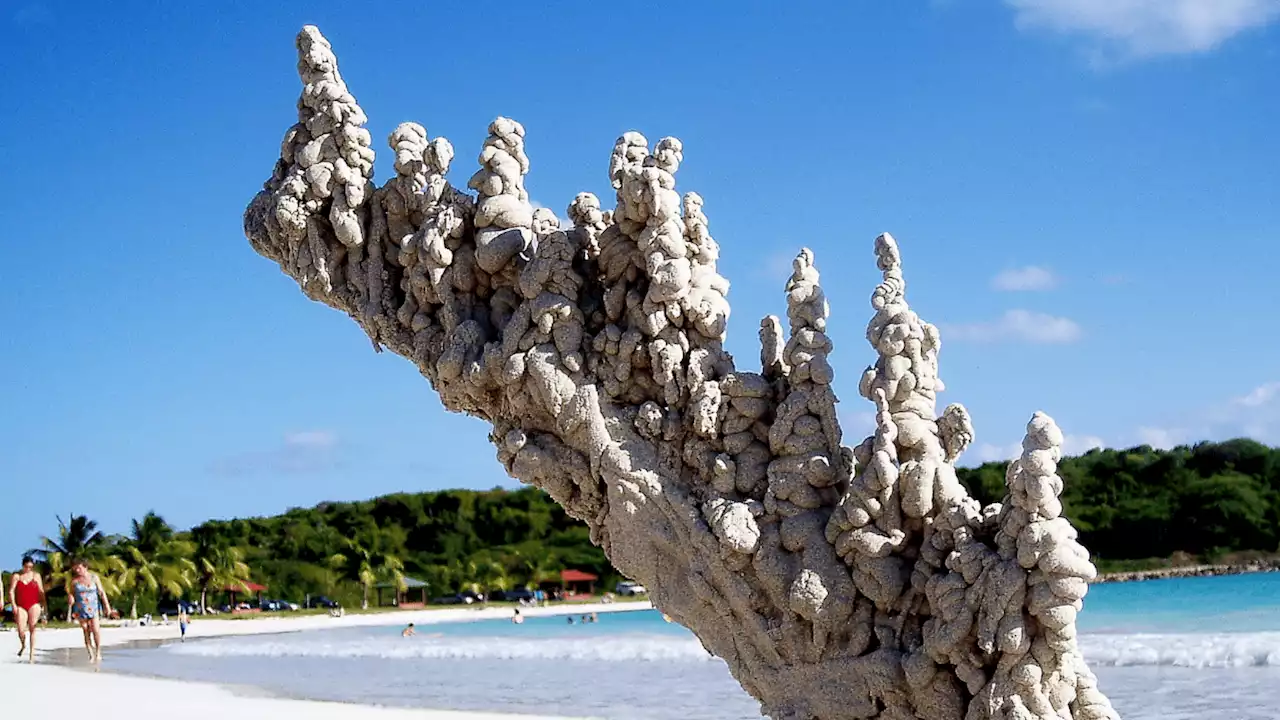 Is This a Photo of Sand After Being Struck By Lightning?