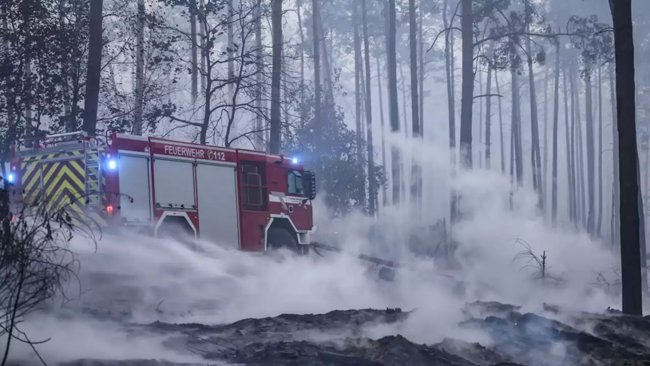 Hitzewelle in Europa: Großer Waldbrand in Brandenburg