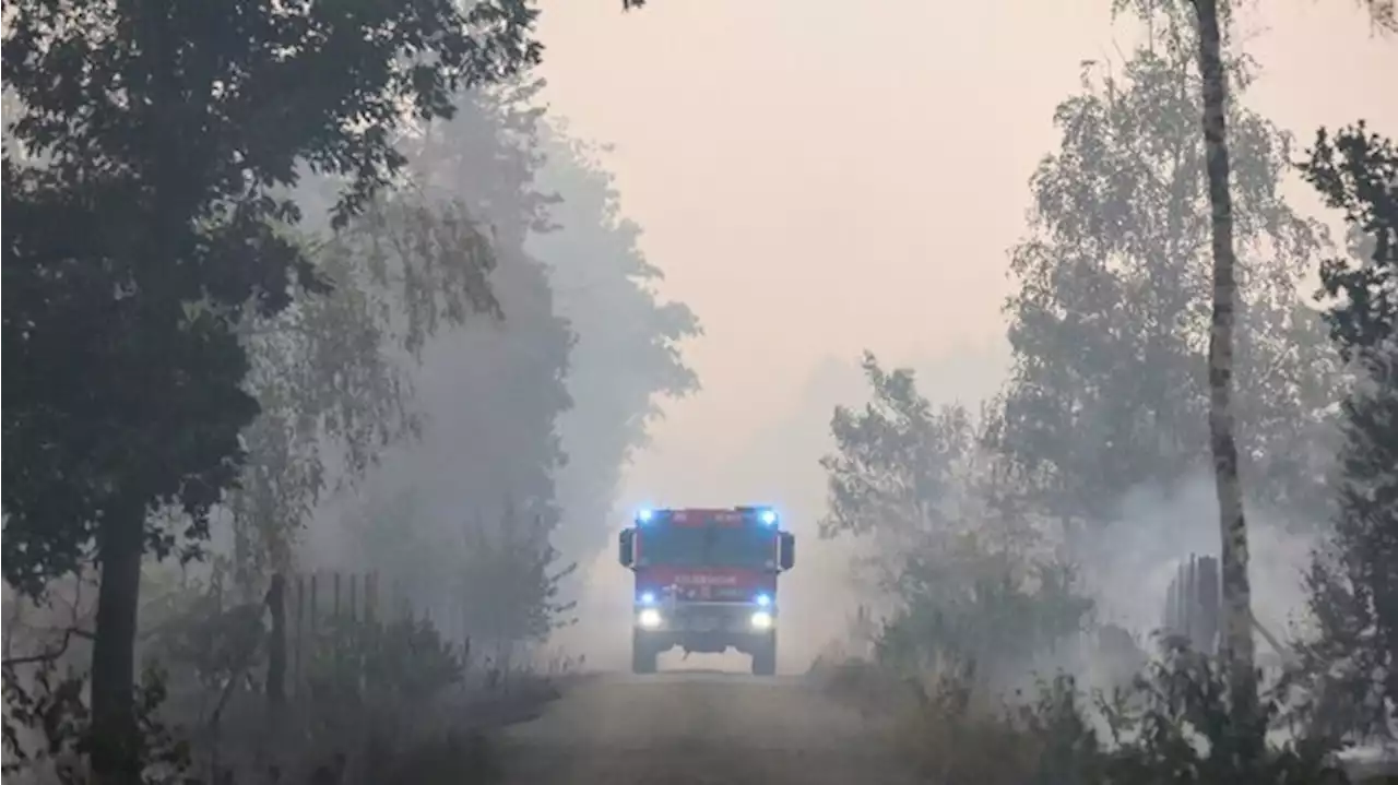 Flammen in Elbe-Elster breiten sich auf 850 Hektar aus – Größter Waldbrand dieses Jahr